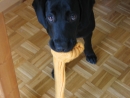 Nove fotke 057.jpg